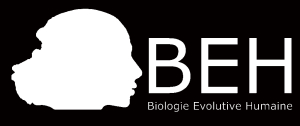 logo_BEH